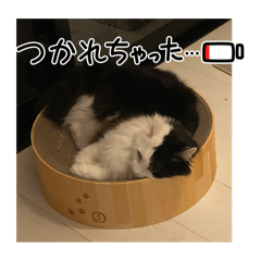 yumi_20250627