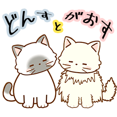 DONS&GAOS illustration