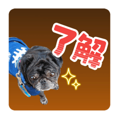 Rinka_20250727025652