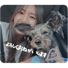 koto_20250727042857