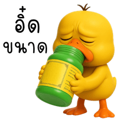 Cheeky yellow Duck (Kum-muang)