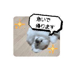 ICE_20250727201600