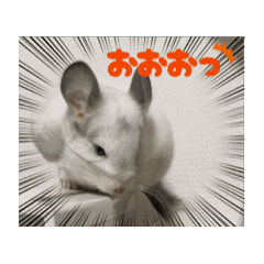 yuki_20250727220006