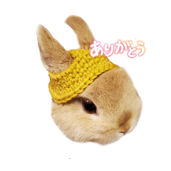 monaka_20250726200528