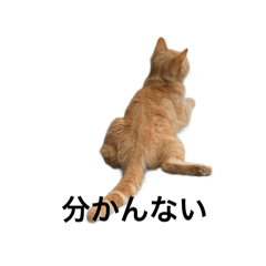 mikan_20250726202354