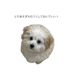 Tchan_20250723104021