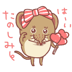 コミミハネジネズミまにあ