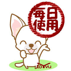 WANKOBIYORI(chihuahua)1