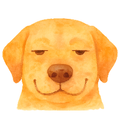All orange. Orange maniac