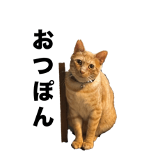 Sayuri_20250725130356