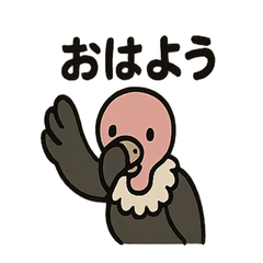 Cute and Quirky Vulture Life