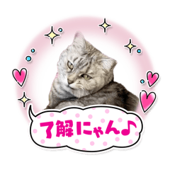 もみちゃんスタンプ♥3