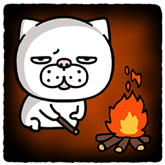 he daily life of a mean-looking cat