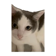 yamada_20250726180534