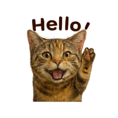 POTATO_20250725201152