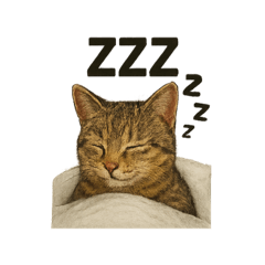 POTATO_20250725201738