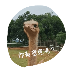 動物也抓狂