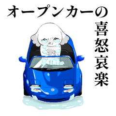 Emotions of roadsters