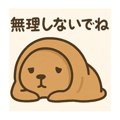 moko_20250725230609