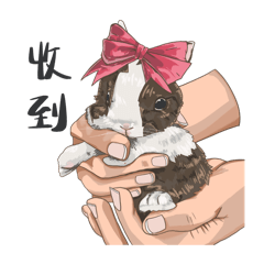 我朋友的可愛萌寵