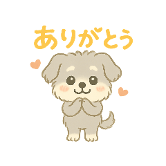 sugar+_20250726015417