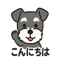 Mini Schnauzer Happy Talk