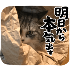 kotetsu_20250727172412