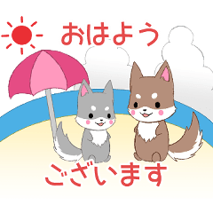 飛び出す！ちびハスキー16【夏】