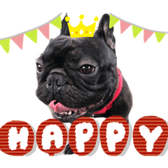 ikemama_20250726164833