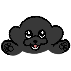 Our cute black dog 2