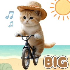 cute cat mugiwara hat2 big