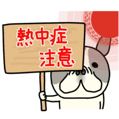 Berry Berry cute frenchbulldog summer