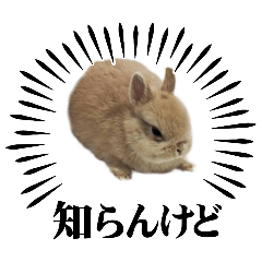 monaka_20250726194652