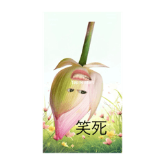 琦無語瞬間