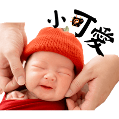 別惹小蘋果～會被可愛電到！