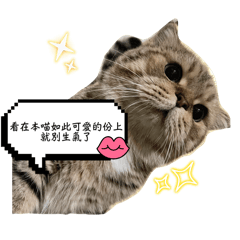 Kimchi日常