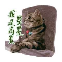 墨墨の日常廢言