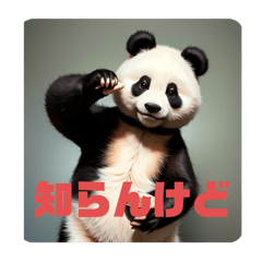 リアルパンダニキ