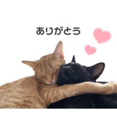 marina_20250727214412