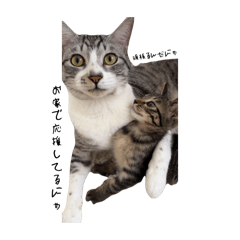 HALKA_20250726182040