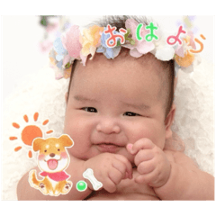 HALHAL_20250726214723