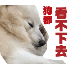 許Healing 碎碎唸