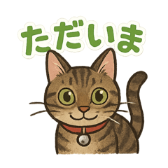 kaori_20250727114340