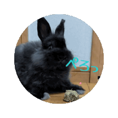 MITSUKI_20250727120657