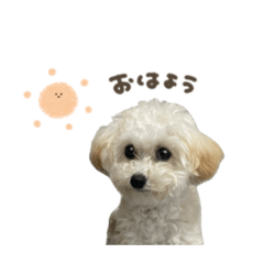 uchinoko_honpo._20250727135929