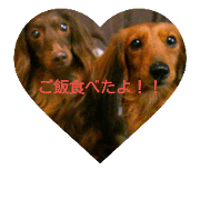 dog m.c