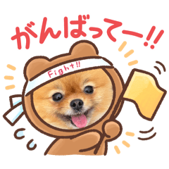 tommy_20250727125015