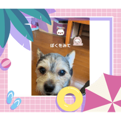 NAGISA_20250727124547