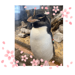 (^-^)安