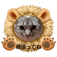 Kana_20250727074748